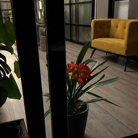 شقة Large Modern Industrial Loft Close To Beaches
